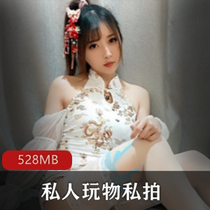 私人玩物网红美腿白丝高端气质诱惑力合集528MB